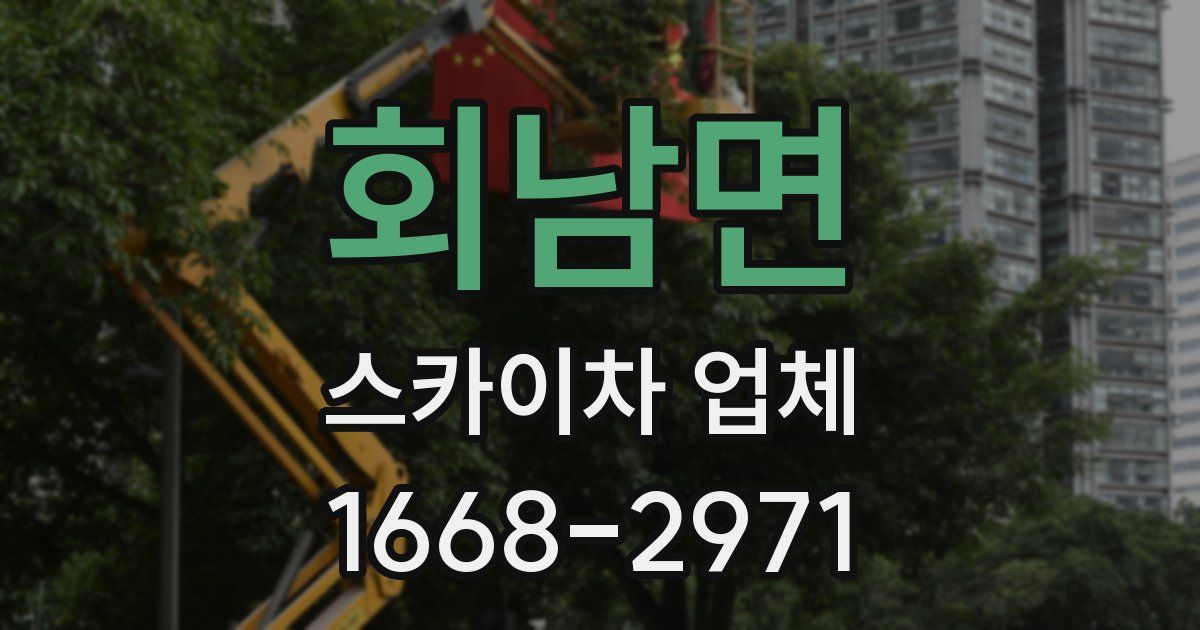 회남면 스카이차 업체