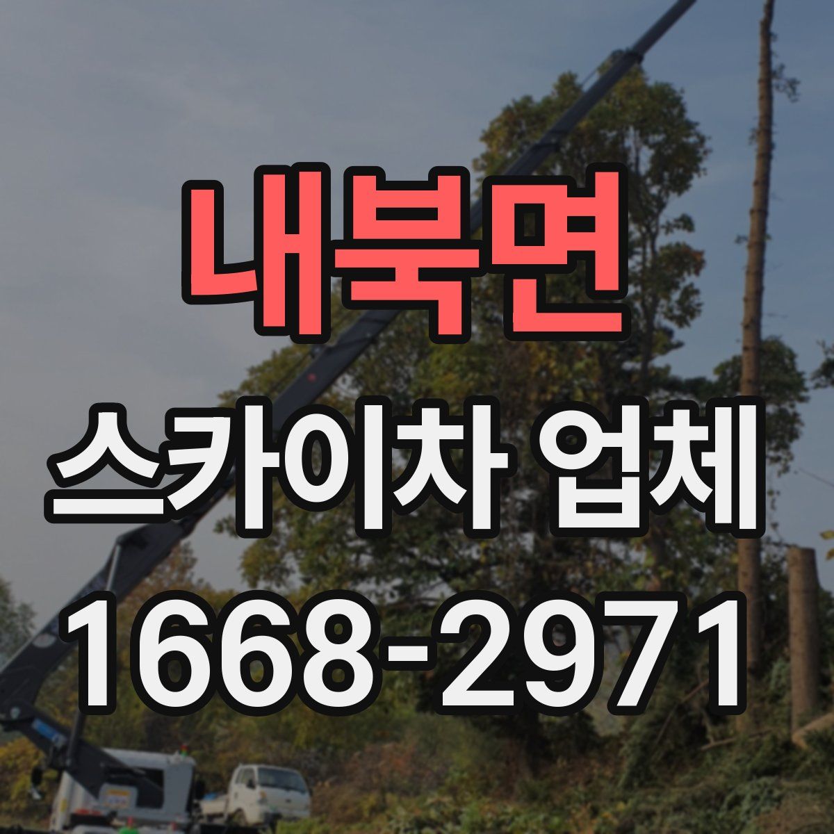내북면 스카이차 업체