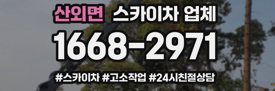 산외면 스카이차 업체