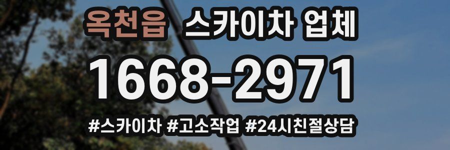 옥천읍 스카이차 업체