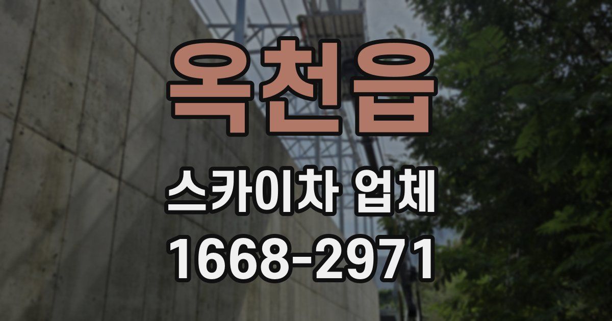 옥천읍 스카이차 업체