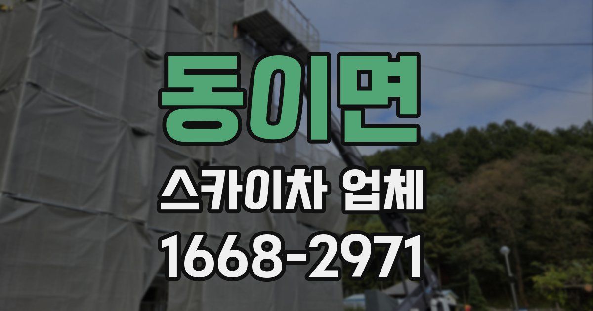 동이면 스카이차 업체