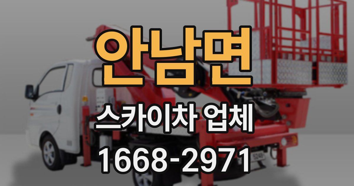 안남면 스카이차 업체