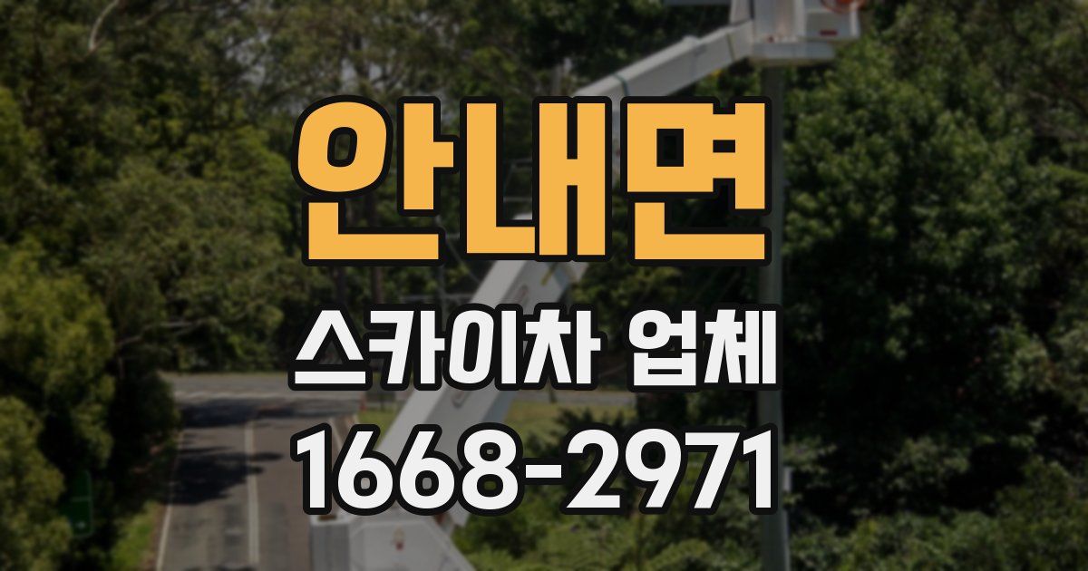안내면 스카이차 업체