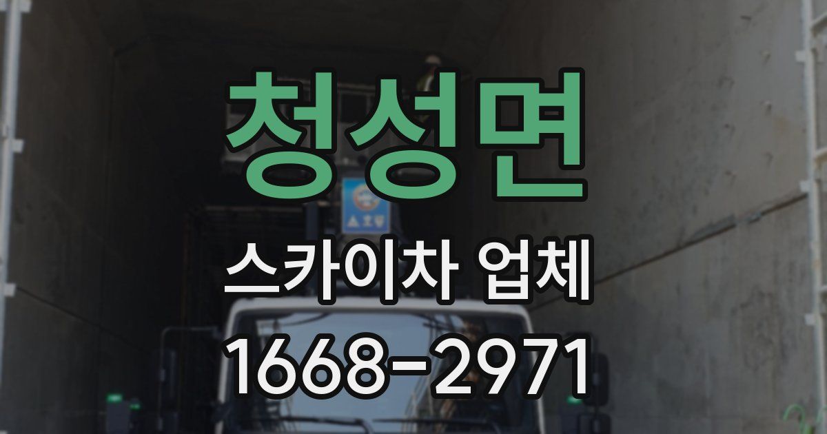 청성면 스카이차 업체