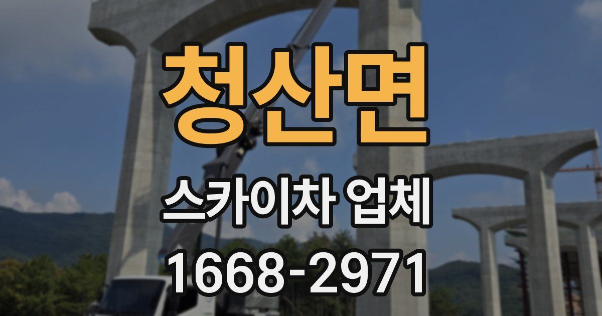청산면 스카이차 업체
