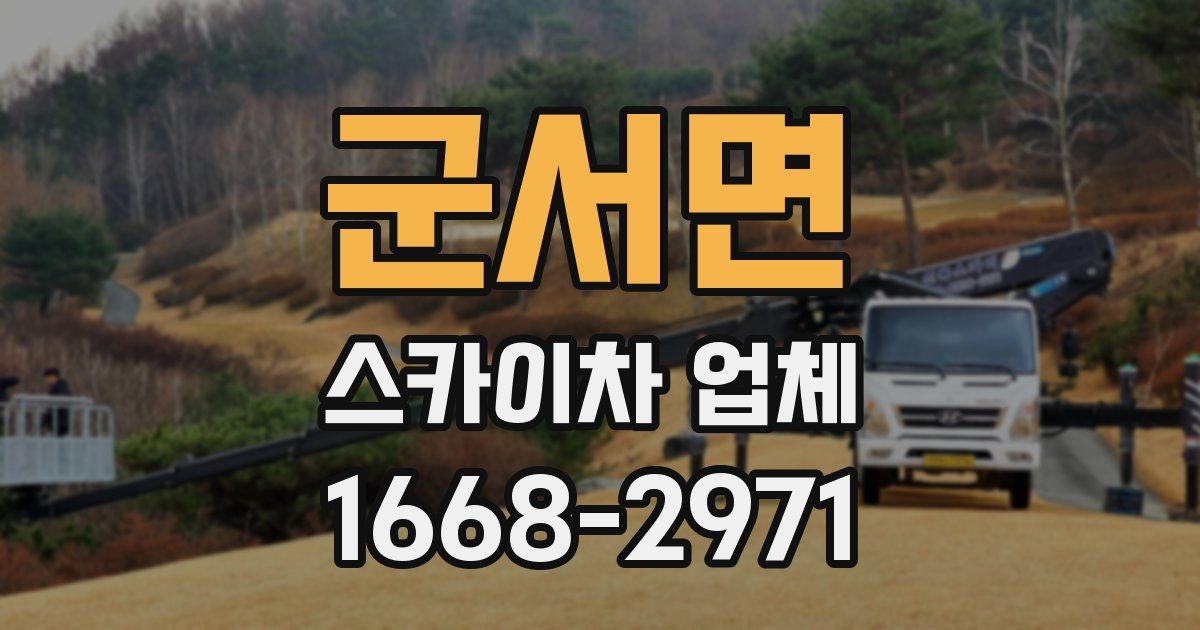 군서면 스카이차 업체