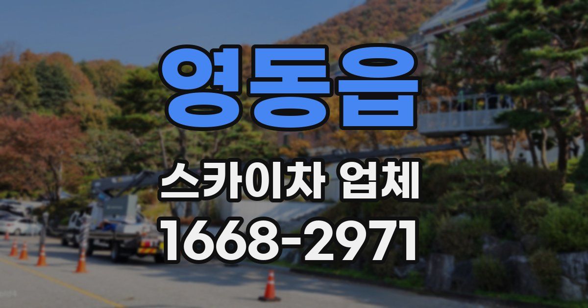 영동읍 스카이차 업체