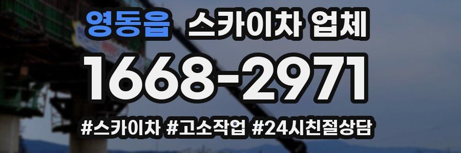 영동읍 스카이차 업체