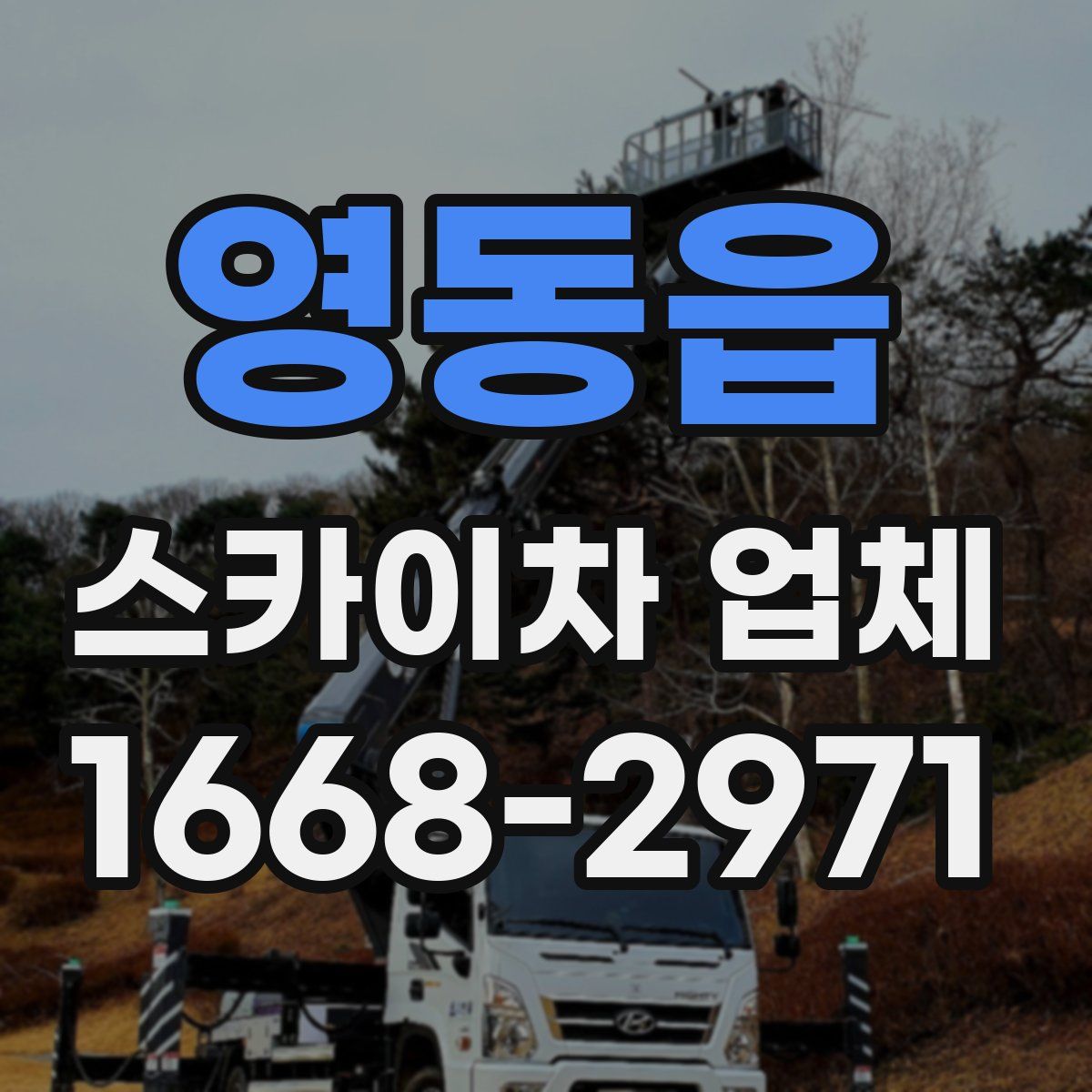 영동읍 스카이차 업체