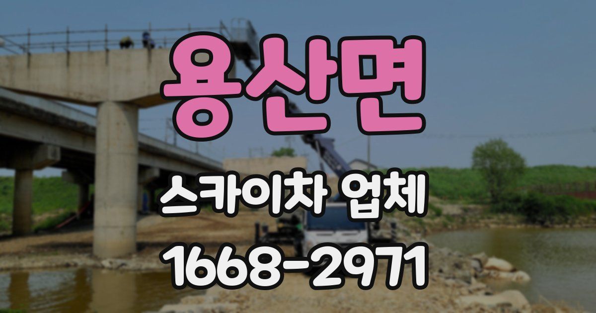 용산면 스카이차 업체