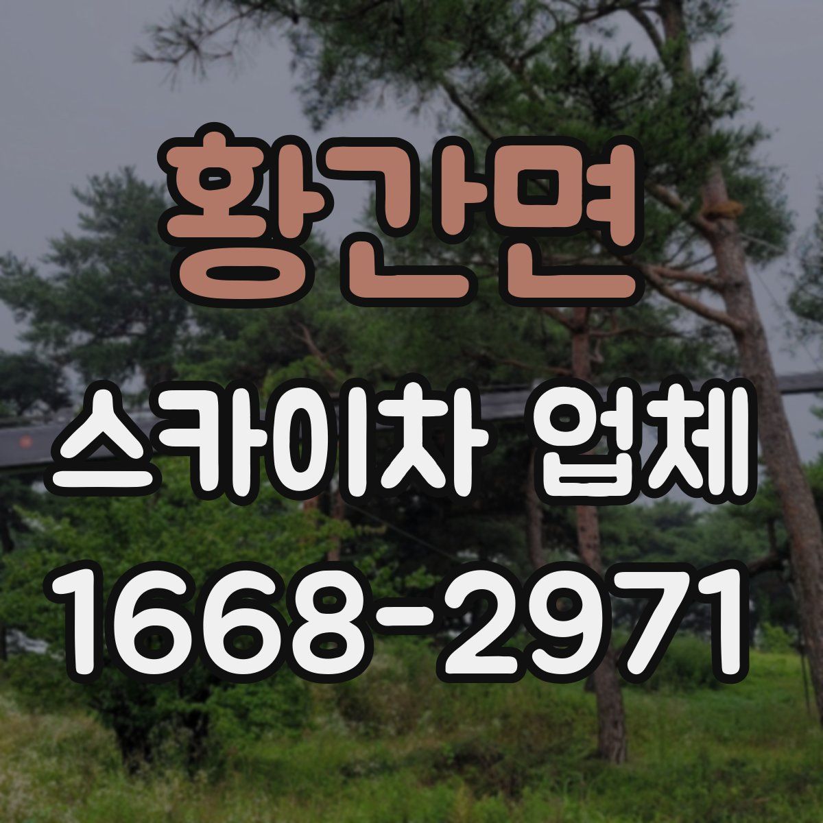 황간면 스카이차 업체