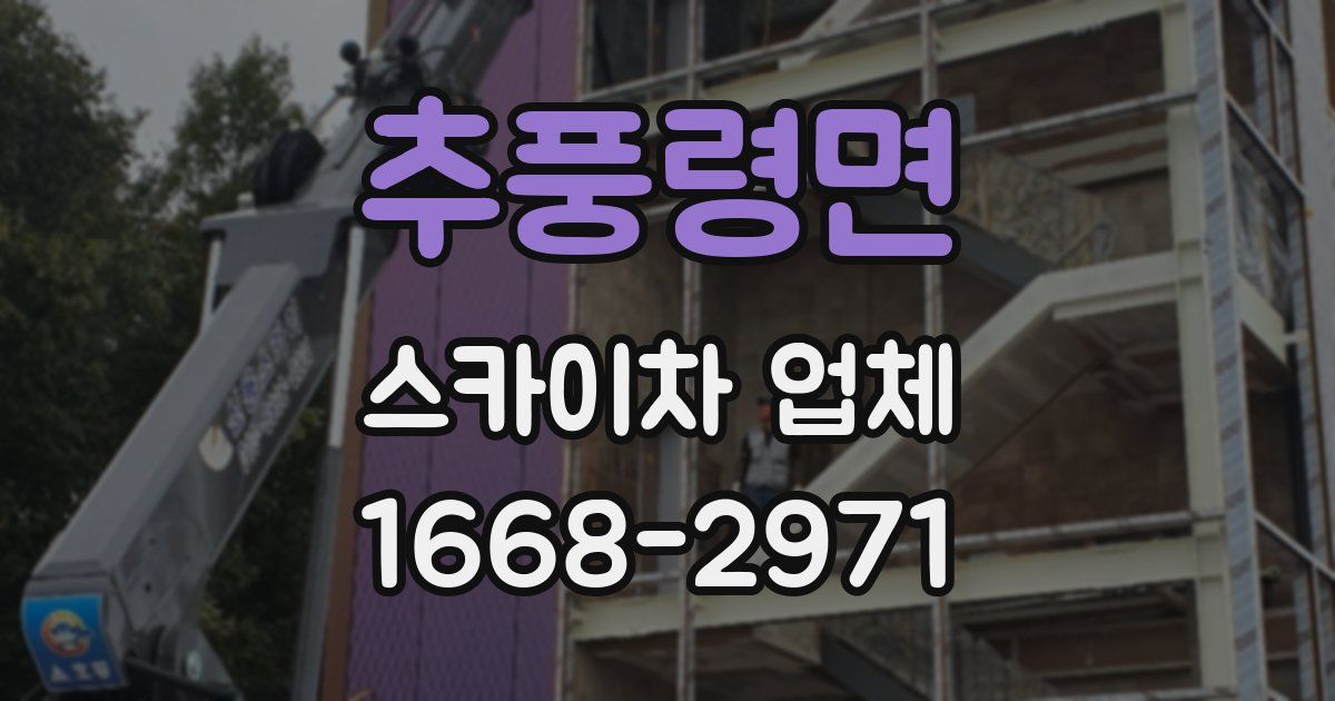 추풍령면 스카이차 업체
