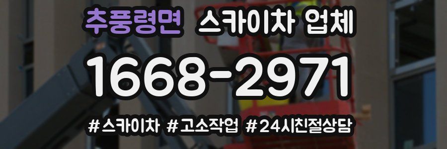 추풍령면 스카이차 업체