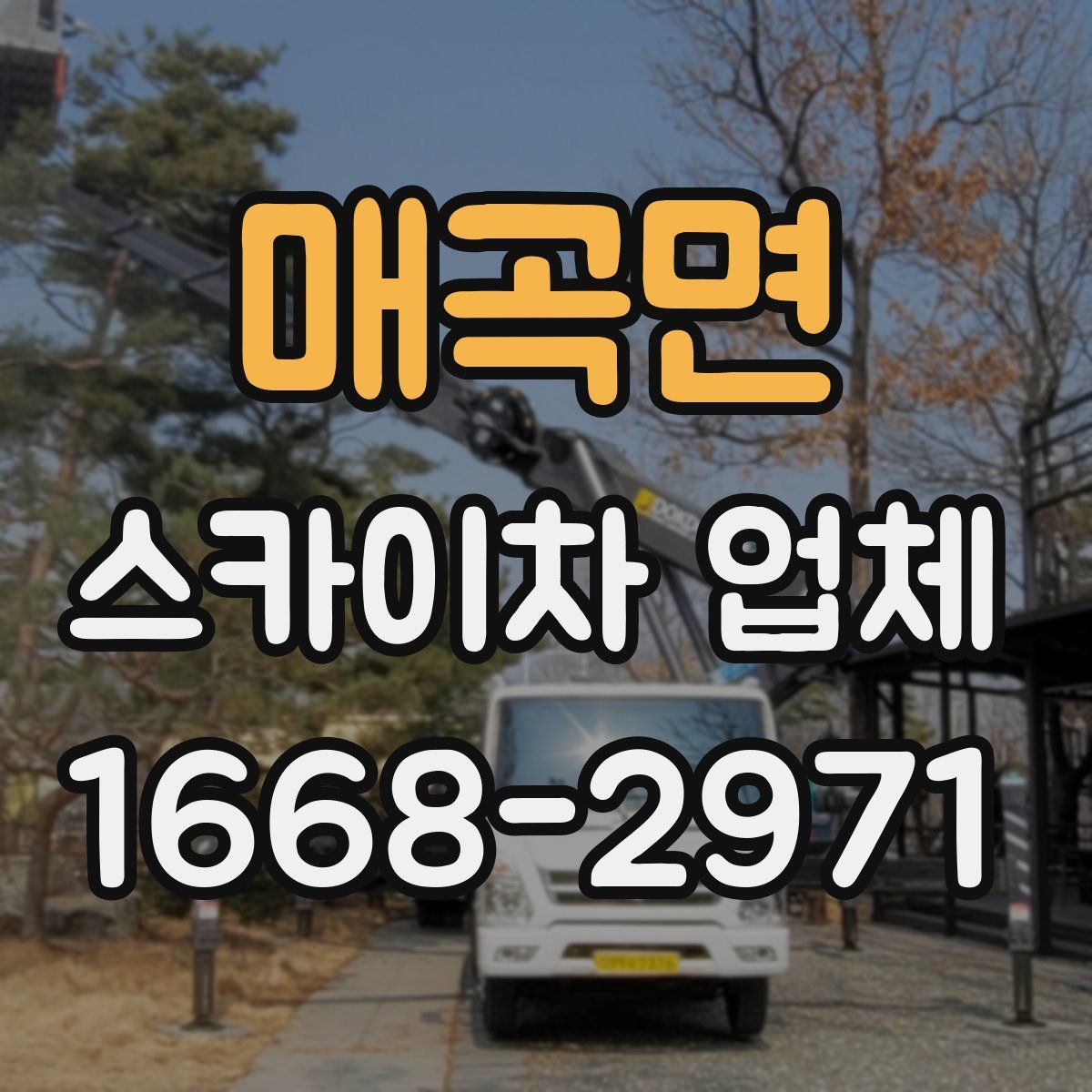 매곡면 스카이차 업체