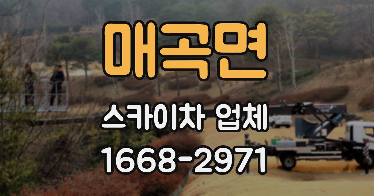 매곡면 스카이차 업체
