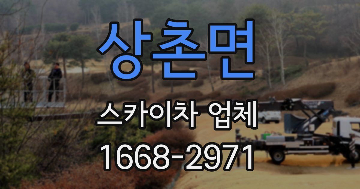상촌면 스카이차 업체