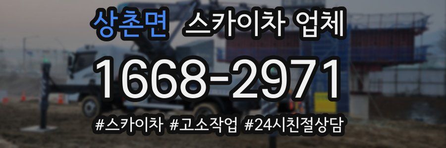 상촌면 스카이차 업체