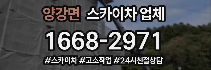 양강면 스카이차 업체