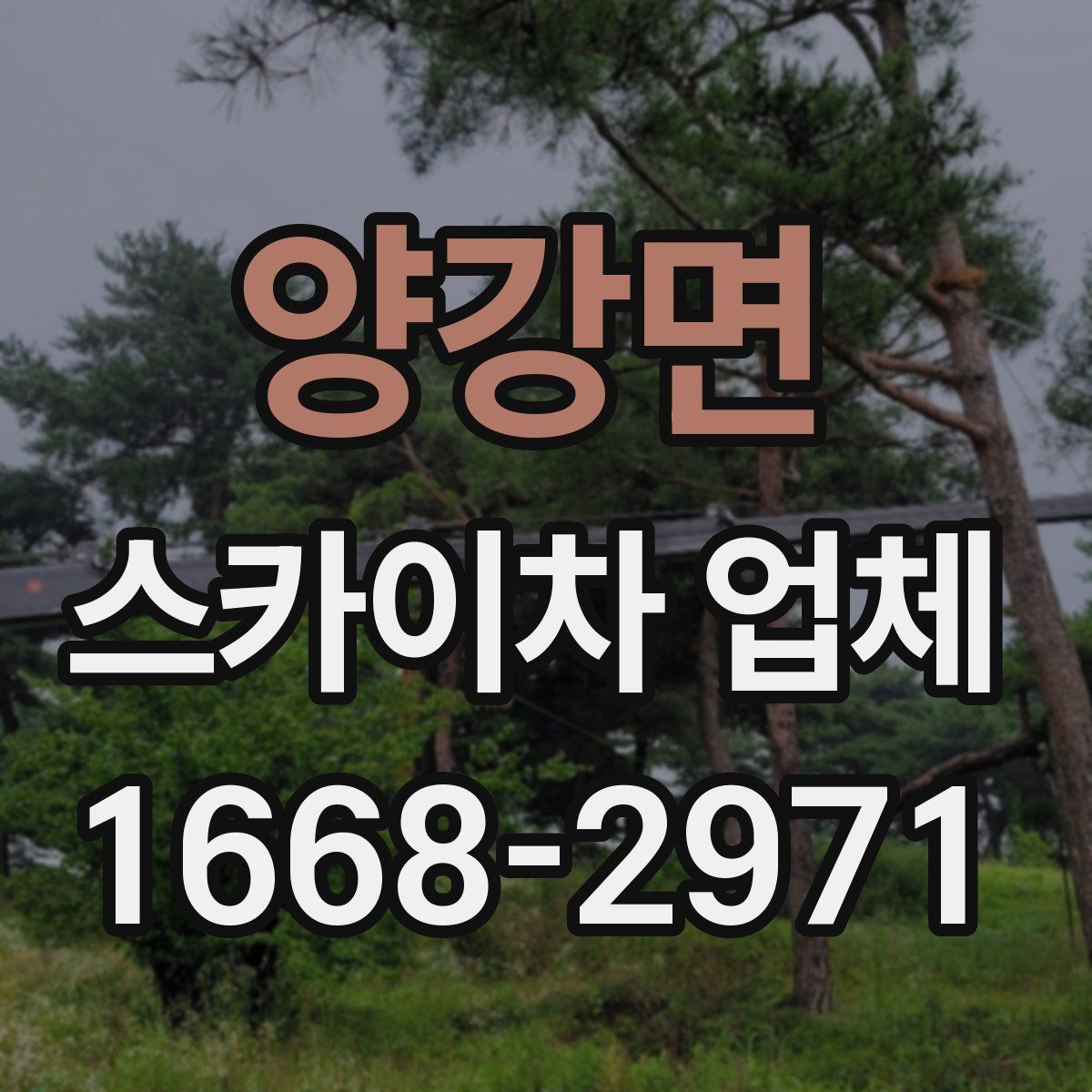 양강면 스카이차 업체