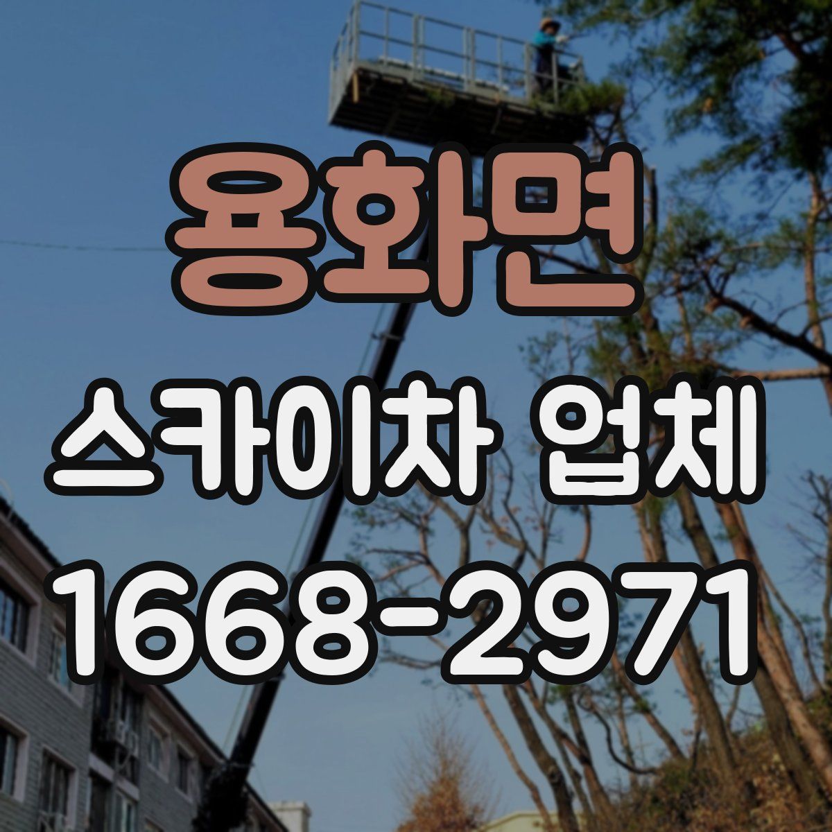 용화면 스카이차 업체
