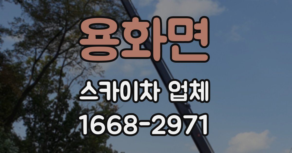 용화면 스카이차 업체