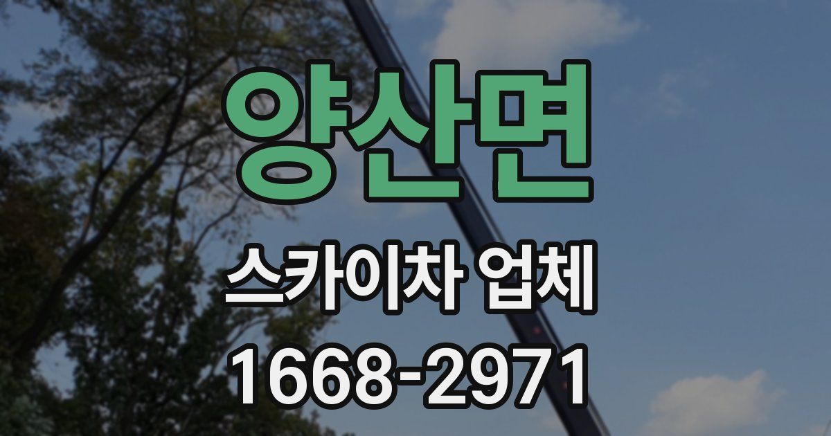 양산면 스카이차 업체