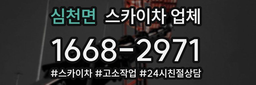 심천면 스카이차 업체