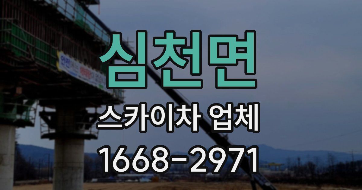 심천면 스카이차 업체