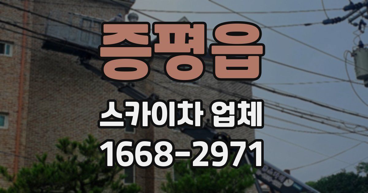 증평읍 스카이차 업체