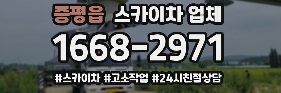 증평읍 스카이차 업체