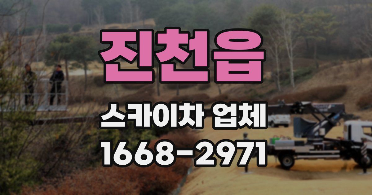 진천읍 스카이차 업체