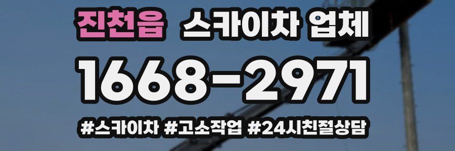 진천읍 스카이차 업체