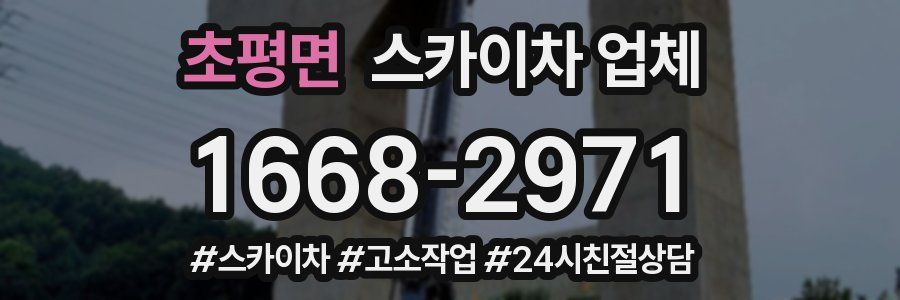 초평면 스카이차 업체