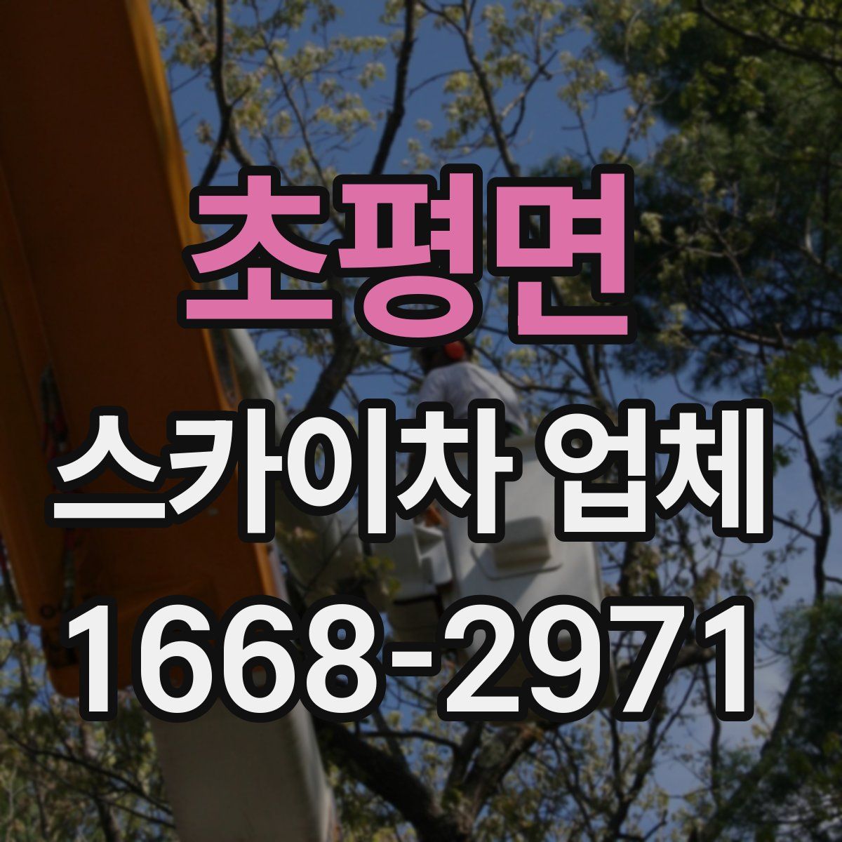 초평면 스카이차 업체