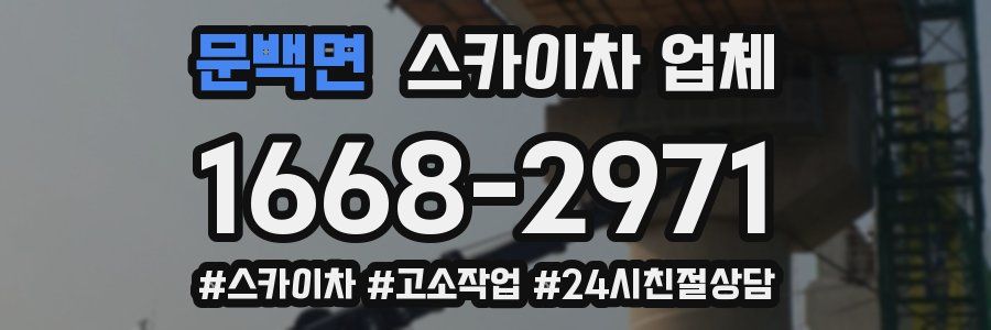 문백면 스카이차 업체