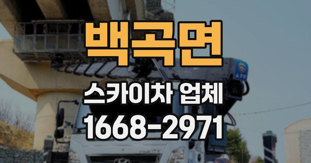 백곡면 스카이차 업체