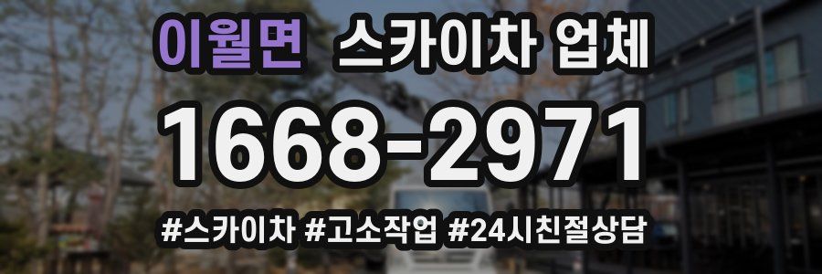 이월면 스카이차 업체