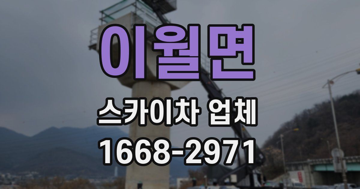 이월면 스카이차 업체
