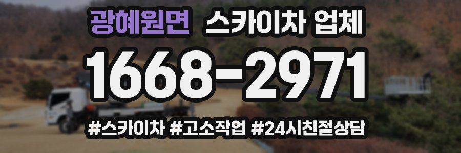 광혜원면 스카이차 업체