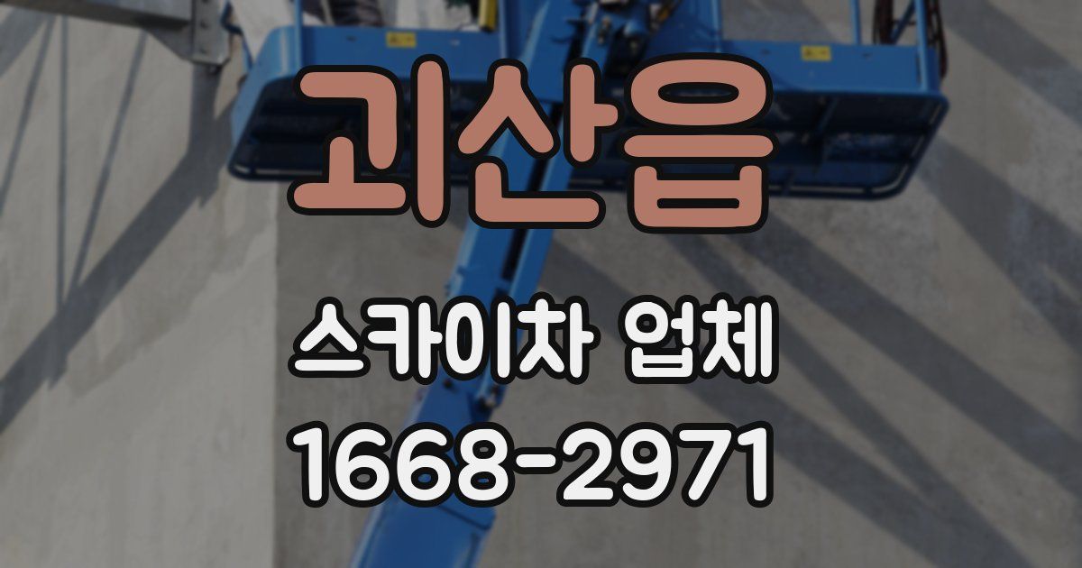 괴산읍 스카이차 업체
