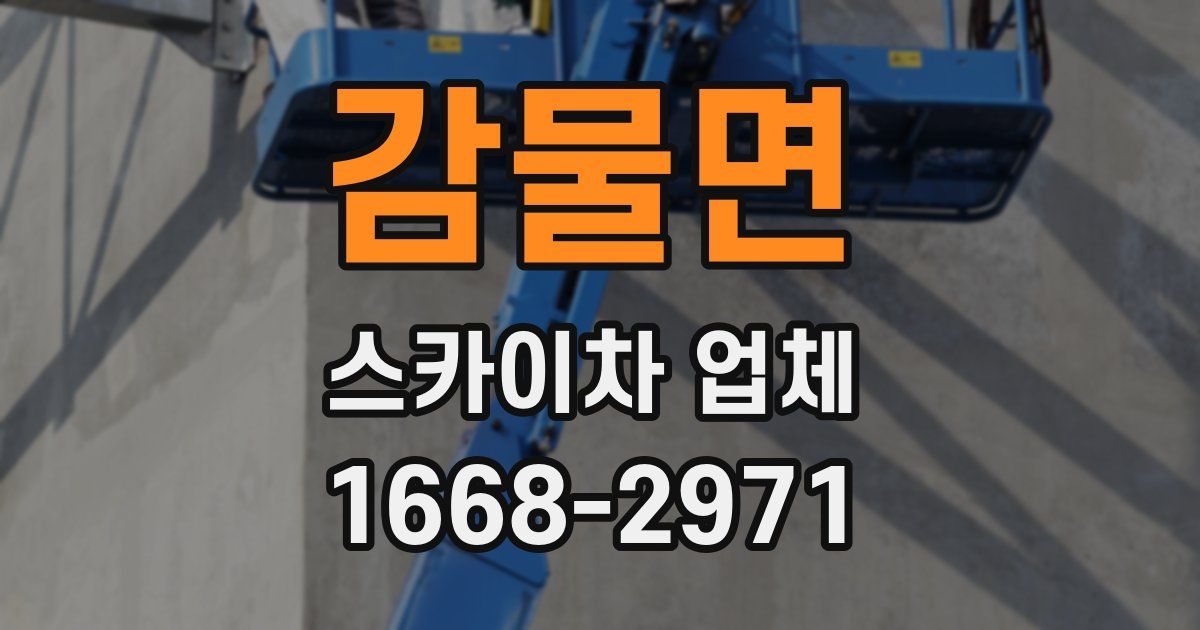 감물면 스카이차 업체