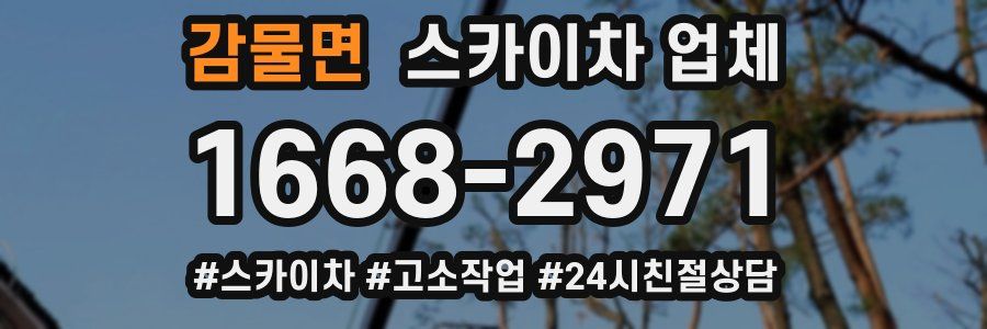 감물면 스카이차 업체
