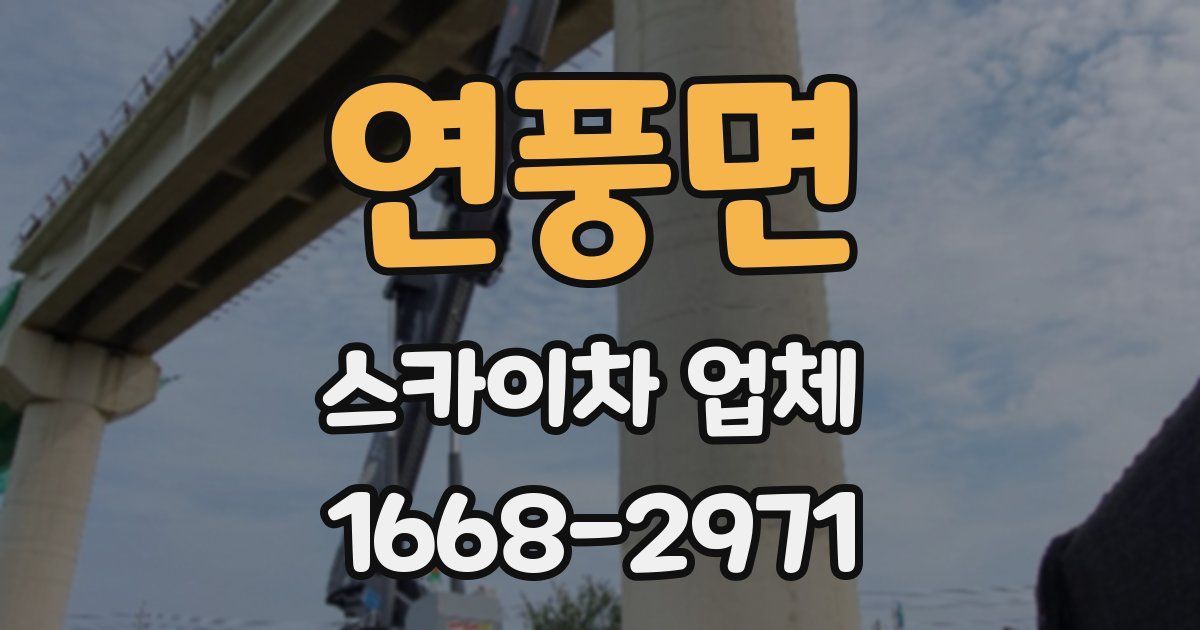 연풍면 스카이차 업체