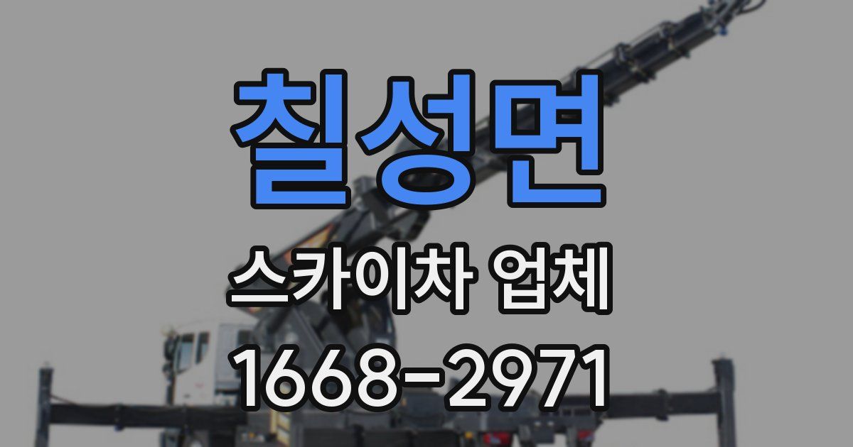 칠성면 스카이차 업체