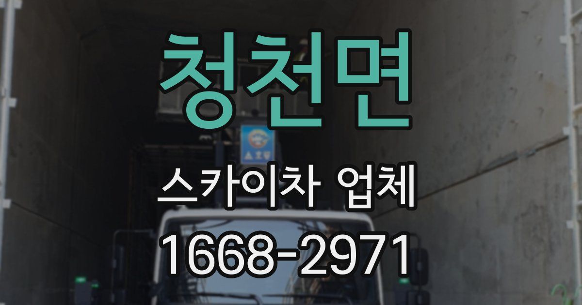 청천면 스카이차 업체