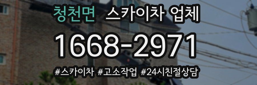 청천면 스카이차 업체