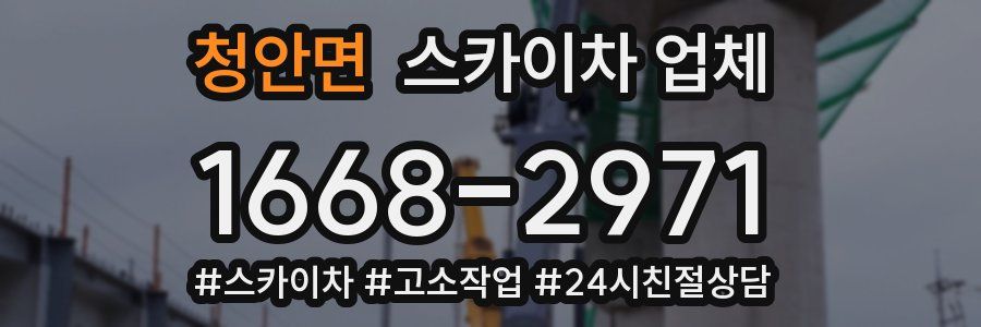 청안면 스카이차 업체