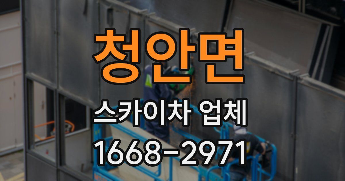 청안면 스카이차 업체