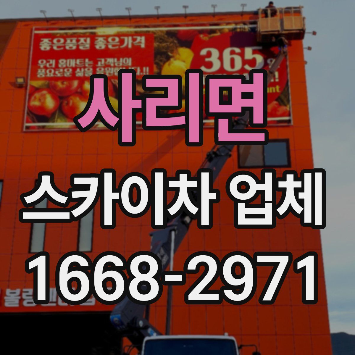 사리면 스카이차 업체
